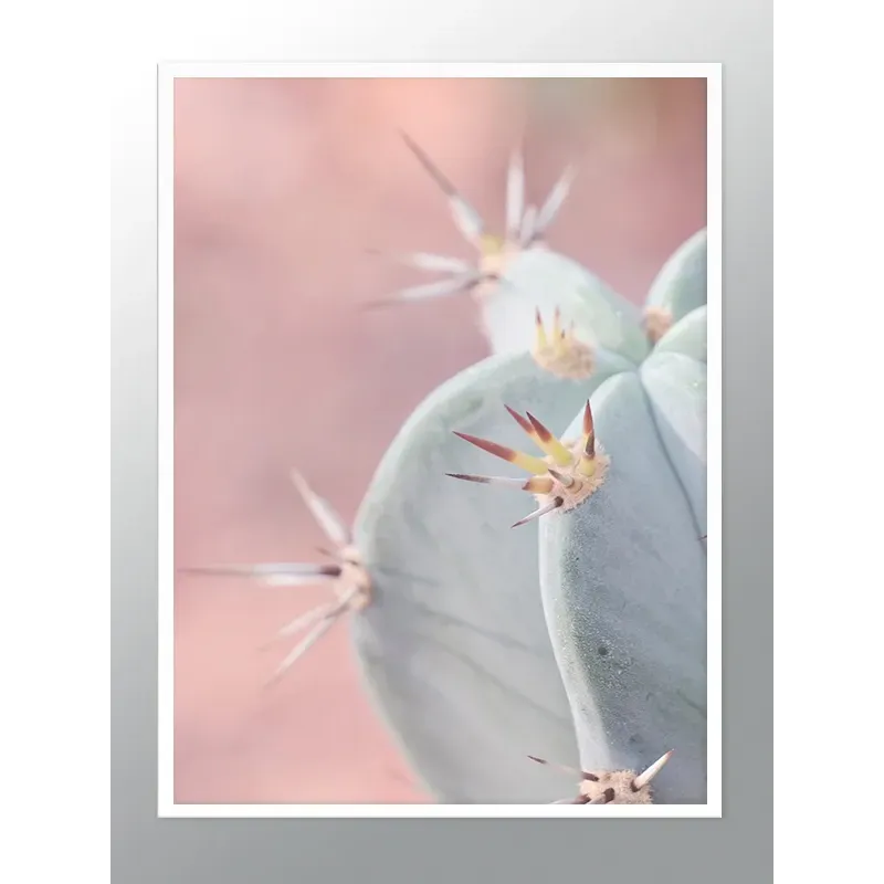 Постер в рамке "Cactus"