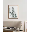 Постер в рамці "Eucalyptus" Постер в рамці "Eucalyptus"