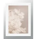 Постер в рамке "Dried flowers" Постер в рамке "Dried flowers"