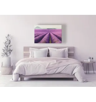 Фотокартина "Provence" розмір на вибір