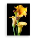 Фотокартина "Calla" розмір на вибір Фотокартина "Calla" розмір на вибір