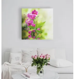 Фотокартина "Orchid" розмір на вибір