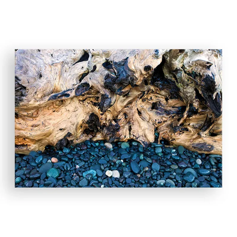 Фотокартина "Rocks and Roots" размер на выбор Фотокартина "Rocks and Roots" размер на выбор