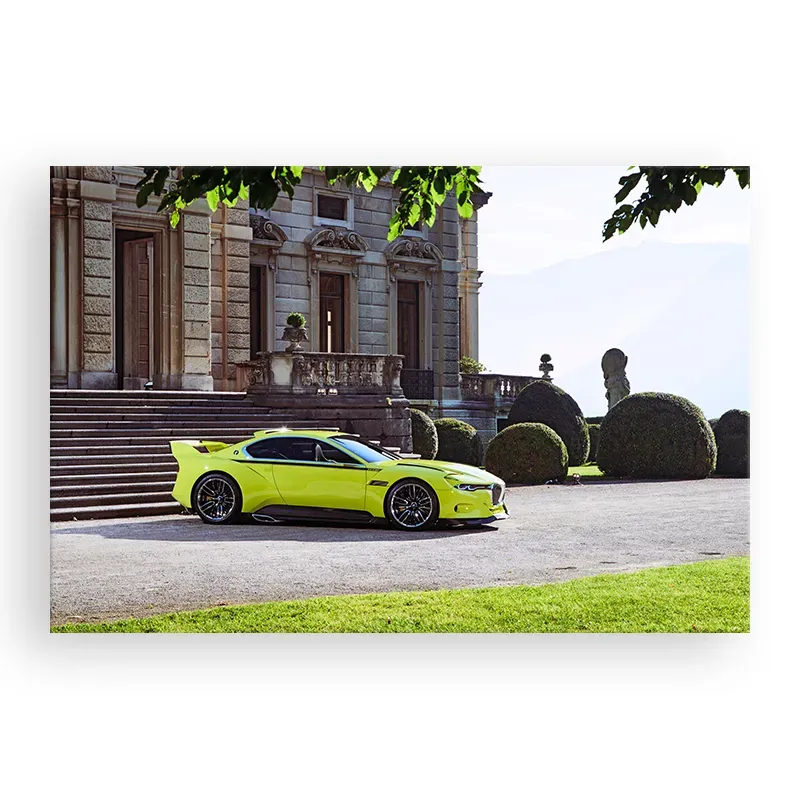 Фотокартина "BMW 3.0 CSL Hommage" размер на выбор