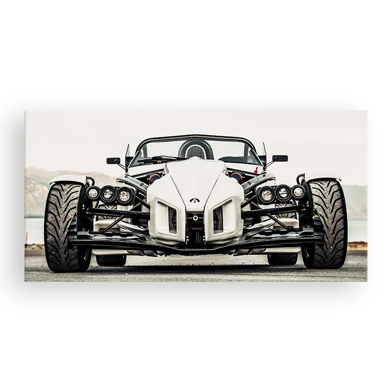 Фотокартина "Ariel Atom" размер на выбор