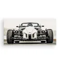 Фотокартина "Ariel Atom" размер на выбор