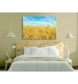 Фотокартина на полотні Етніка купити Київ Україна